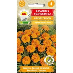 Ringblomma, apelsin, HARVEST MOON, 1 g