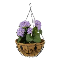 Robust ampelset med 3 kokosnötsträd