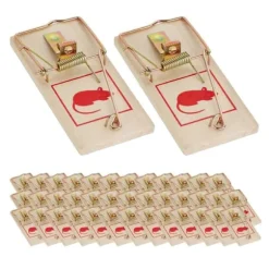 Robust musfälla i trä i set om 40 st