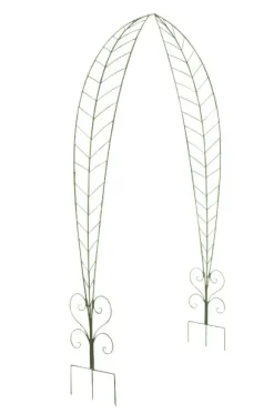 Rosenbåge Ellen 36 x 162,5 x 264 cm 5