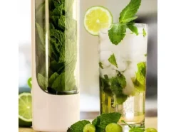 Örtbehållare / Litet Växthus - För små plantor & växter