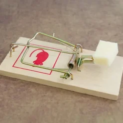 Råttfälleset, 2x10x4,5 cm, Trä