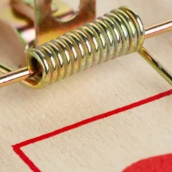 Råttfälleset, 2x10x4,5 cm, Trä