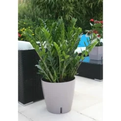 Rund plastblomkruka - RIVIERA - EVA NEW - Med vattentank - Ø45 x H45 cm - 49 L - Taupe