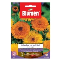 SEMEN AV CALENDULA STOR STOR MIX BLUMEN