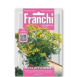 SEMEN FRÖ OFFICINALE FÖR TRÄDGÅRD