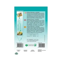 SEMENTER AV PHYSALIS ALKEKENGI trädgård frö frön