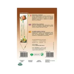 SEMENTER AV PUMPOR KVINTAL trädgård frön seeds