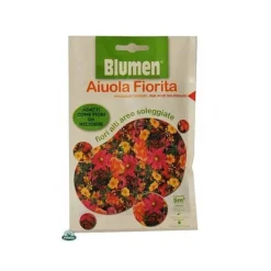 SEMENTI I BLÅBÄRSBLAD FÖR SOLIGA OMRÅDEN Blumen semi seeds