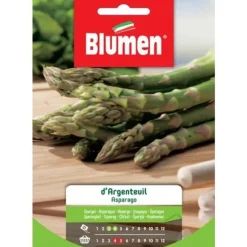 SEMI ASPARAGO ARGENTEUIL BLUMEN BUSTINA