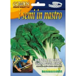 SEMI AV BETA FÖR SKÄR I BAND FRANCHI SEMENTI