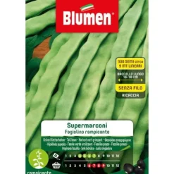 SEMI AV ÄRTPLODANDE SUPERMARCONI BLUMEN