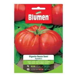 SEMI AV STORSTOMATIG TOMAT UTAN FRÖN BLUMEN FRÖ SÄDESMARK