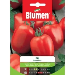 SEMI AV TOMAT RIO NANO BLUMEN