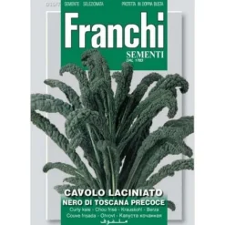 SEMI CAVOLO LACINIATO NERO DI TOSCANA DOPPIA BUSTA FRANCHI