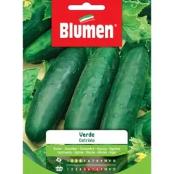 SEMI CETRIOLO VERDE BLUMEN