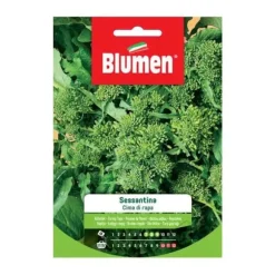SEMI CIMA DI RAPA SESSANTINA BLUMEN SEMENTI ORTO