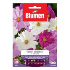 SEMI COSMEA SENSES MIX BLUMMAR SÄDEN BLOMMOR