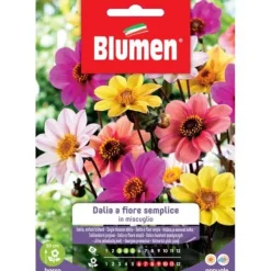 SEMI DALIA FIORE SEMPLICE MIX BLUMEN