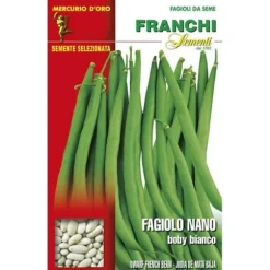 SEMI FAGIOLO NANO BOBY BIANCO GR.500 FRANCHI