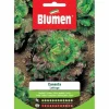 SEMI LATTUGA CANASTA BLUMEN