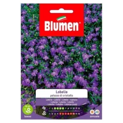 SEMI LOBELIA PALAZZO DI CRISTALLO BLUMEN SÄDER Blommor