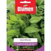 SEMI SALVIA OFFICINALIS BLUMEN SEMENTI