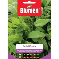 SEMI SALVIA OFFICINALIS BLUMEN SEMENTI