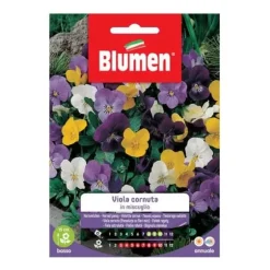 SEMI VIOLA CORNUTA MIX BLUMEN