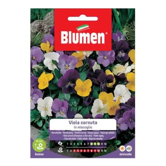 SEMI VIOLA CORNUTA MIX BLUMEN
