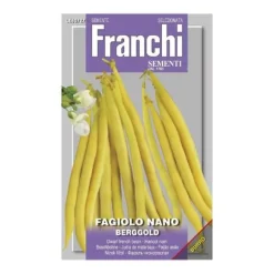 SEMIFAGGIOLO NANO BERGGOLD FRANCHI SEMENTI