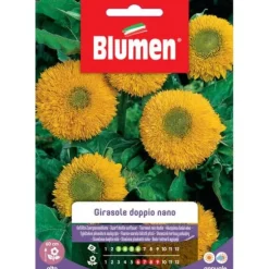SEMIGIGANTISK GUL BLUMEN SOLROS DOPPIO NANO