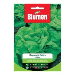 SEMILATTUGA CAPPUCCIO ESTIVA BLUMEN