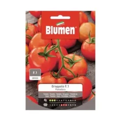 SEMIPOMODORO KLASSTOMAT ROBIN BLUMEN TRÄDGÅRDSFRÖN