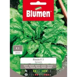 SEMISEMI SPINACIO RICCIO F1 BLUMEN FRÖ SÄDESMARKET