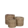 Set av växtkorgar Atlantic - MICA DECORATIONS - Sjögräs - H16 x Ø16 cm