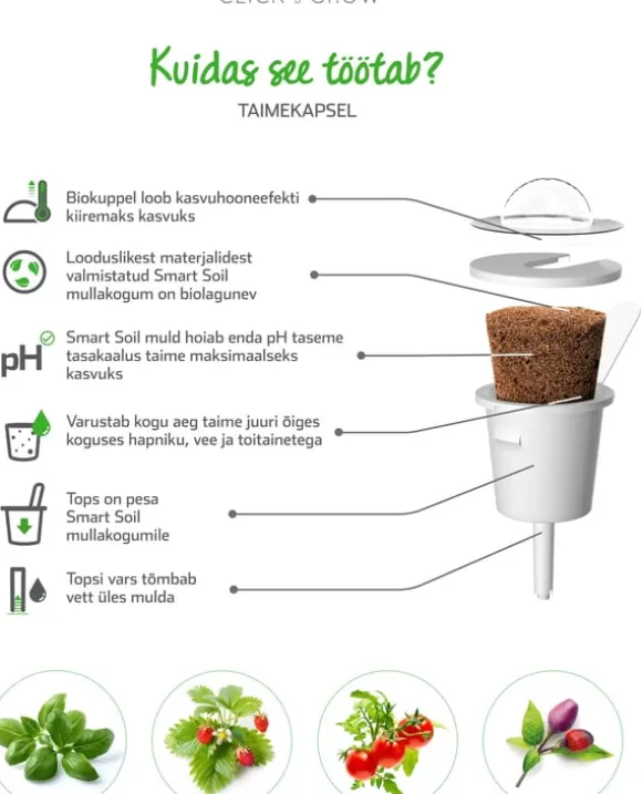 Set med 3 produkter. Click & Grow Smart Garden refill Busy Lizzie 3st