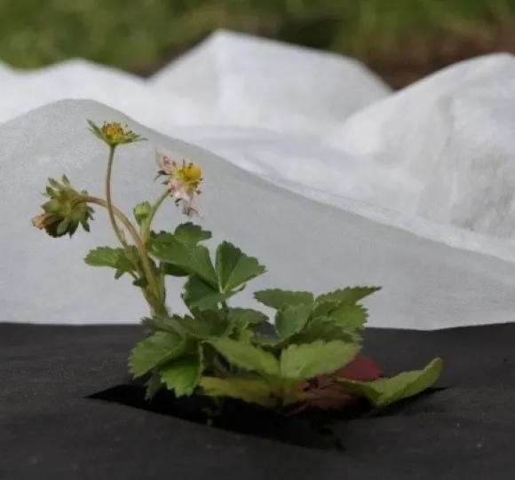 Set med 10 produkter. Non-woven 17g/m² vår, vit, 1,6 x 10m