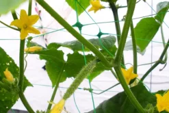 Set med 5 produkter. VÄXTNÄT 8g/m2 15x17cm 2x10m