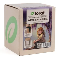 Set med frö till blåregn och odlingskruka – Praktfullt blommande klätterväxt