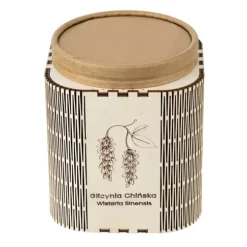 Set med frö till blåregn och odlingskruka – Praktfullt blommande klätterväxt