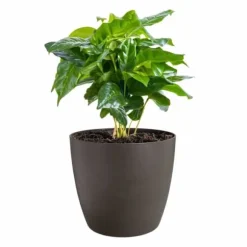 Set of pots Elho Plastic Circular 3 Pieces