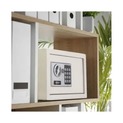 Säkerhetsskåp - THIRARD - Vincennes - Elektronisk lås med kod - 9L - 2 låsboltar