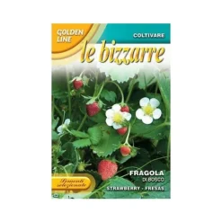 SKOGSJORDGUBBSFRÖN trädgård frön