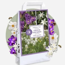 Skuggträdgårdslåda - 50 blomsterlökar för skugga & halvskugga