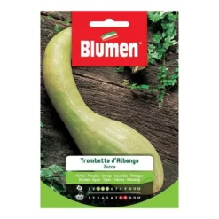 SÄMENA ZUCCA TROMBETTA D'ALBENGA BLUMEN SEMENTI ORTO