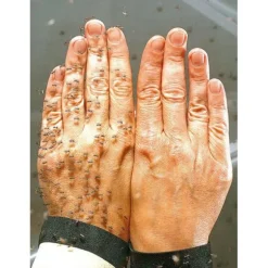 SMIDGE INSEKTSSPRAY 75 ML 3-PACK, myggmedel bäst i test