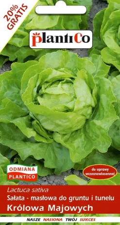 Smörsallat MAY QUEEN 1,2 g. PlantiCo frön