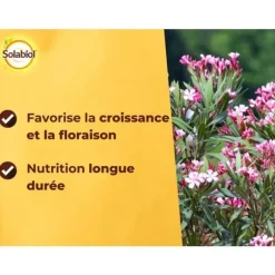 SOLABIOL Gödningsmedel för lagerträd och bougainvillea - 1,5kg - Upp till 30 plantor - Främjar blomning och tillväxt