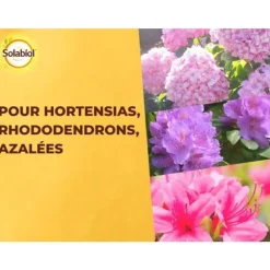 SOLABIOL SORHOY15 Gödselmedel för hortensia, rhododendron, azaleor och kamelia 100 % ekologiskt | Långvarig verkan, 1,5 kg